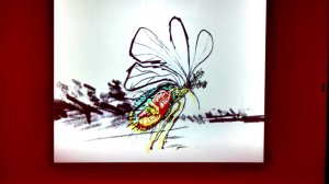 Still from video by Jason Lockyer.  