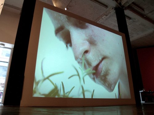 Face Faucet by Mary Ivy Martin.