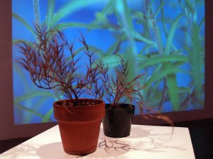 Work by Mary Ivy Martin