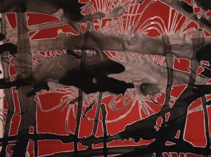 Detail of installation by Laurie Trok.  