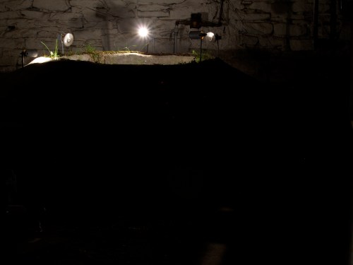 Visitors entering the basement of the museum would see Earth Pond in the distance.  