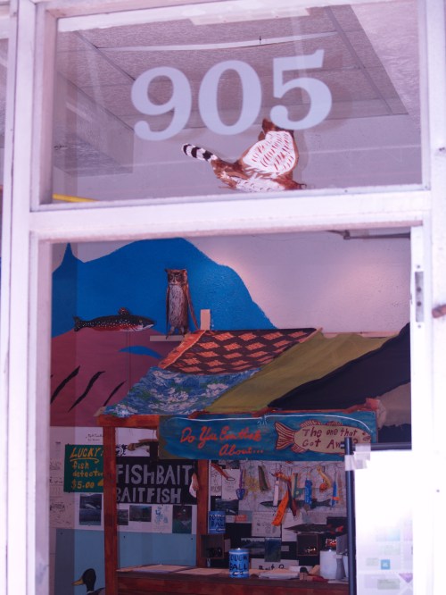 A papier-mâché owl perched inside.  